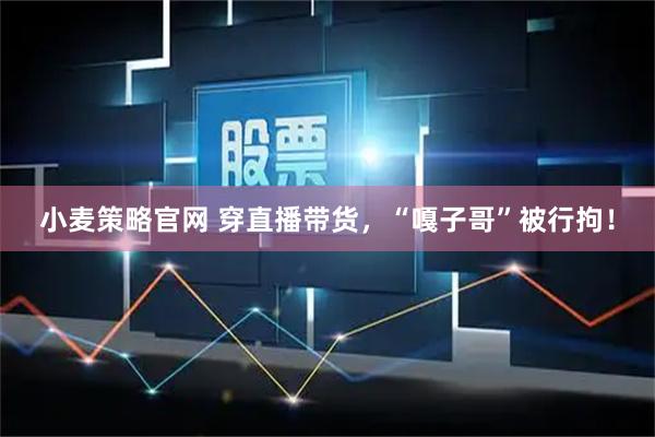 小麦策略官网 穿直播带货，“嘎子哥”被行拘！