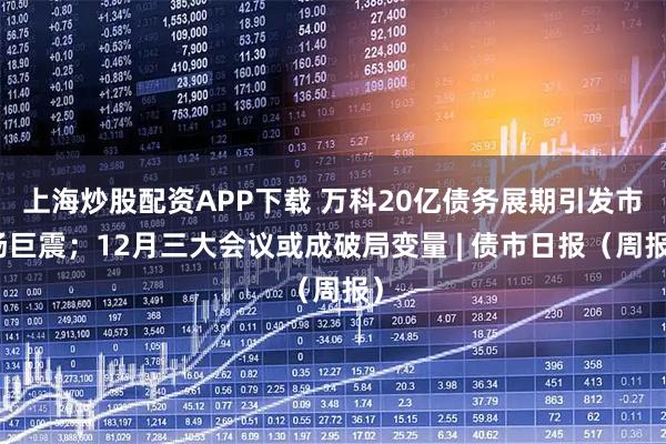 上海炒股配资APP下载 万科20亿债务展期引发市场巨震；12月三大会议或成破局变量 | 债市日报（周报）