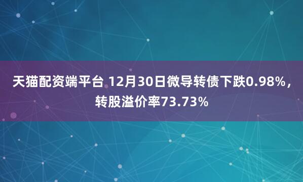 天猫配资端平台 12月30日微导转债下跌0.98%，转股溢价率73.73%